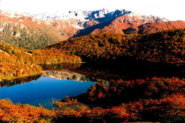 Colores ...
