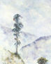 06_NIEBLA