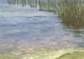 06_PLAYA BLANCA