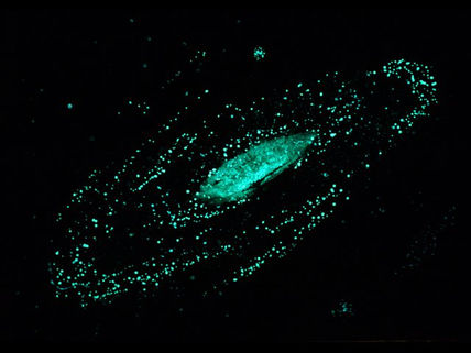 Galaxia de...