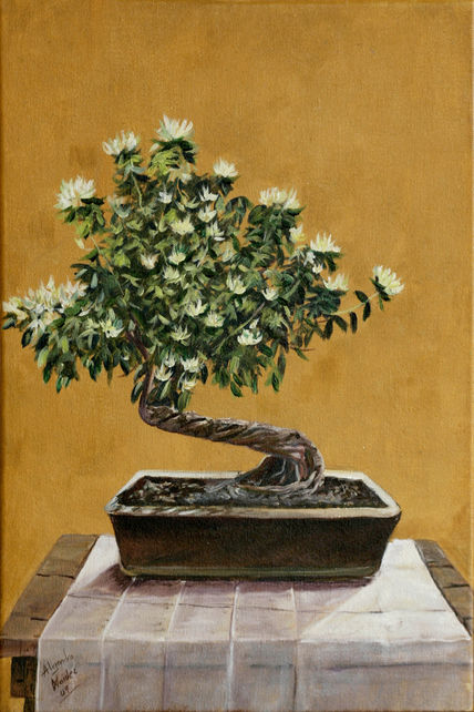 Serie bonsai