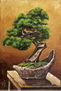 SERIE BONSAI