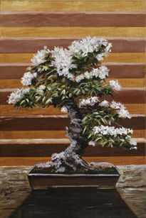 Serie bonsai