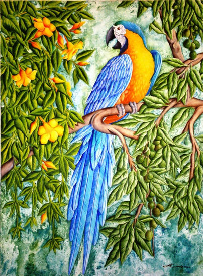 Guacamayo Azul y Amarillo. Oil Canvas Others