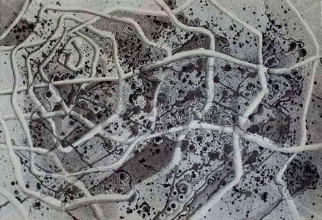 microscopia II