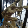Las columnas de Hércules.