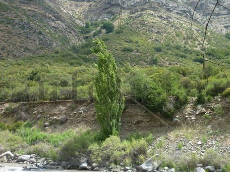 Naturaleza