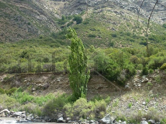Naturaleza