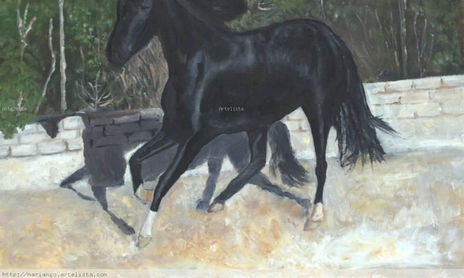 CABALLOS