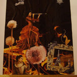 Collages 2008 thumbnail 1