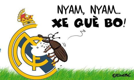 Las Provincias