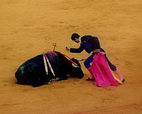 Matador