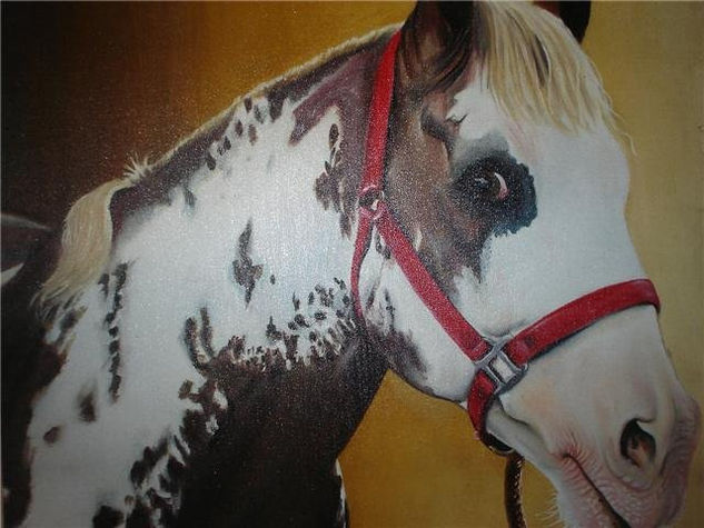 APACHE Oil Canvas Animals