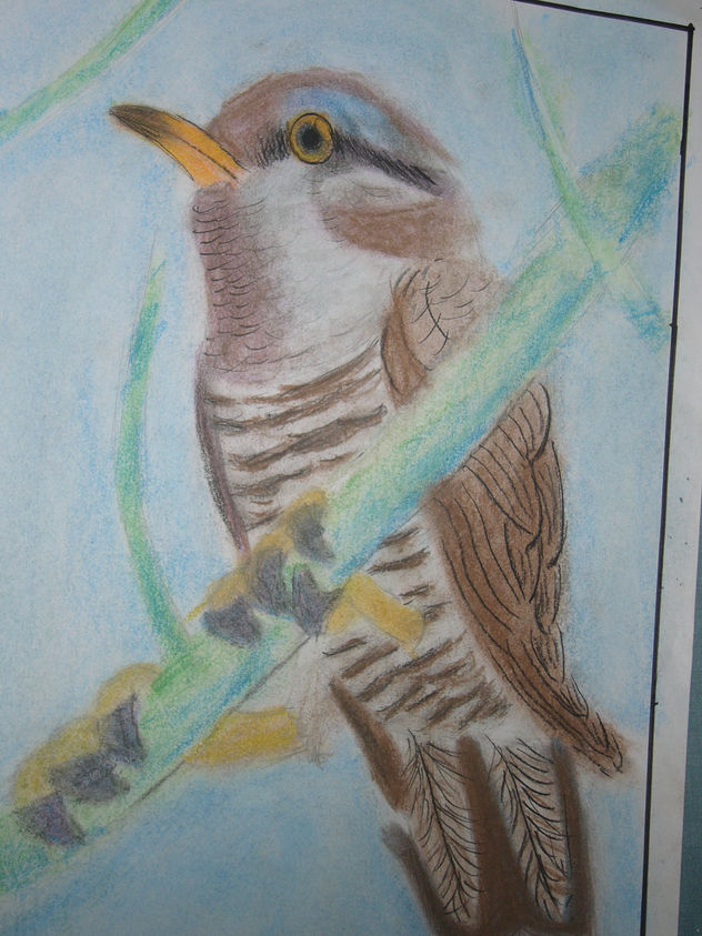 PAJARO 2