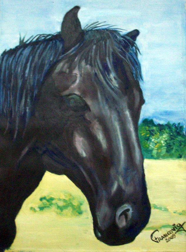 caballo-01