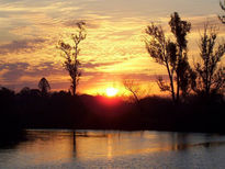 Hoguera de paz