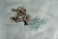 La sombra de un roble sobre la nieve