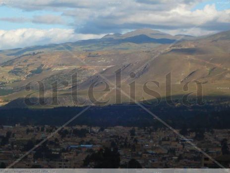 Vista