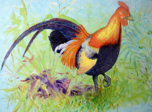 RED JUNGLE FOWL