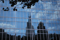 NYC Reflection