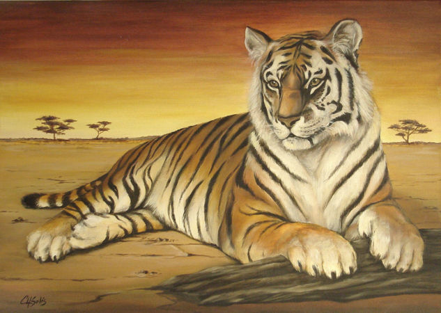 Tigre Óleo Lienzo Animales