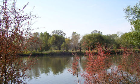 BELLEZA EN OTOÑO