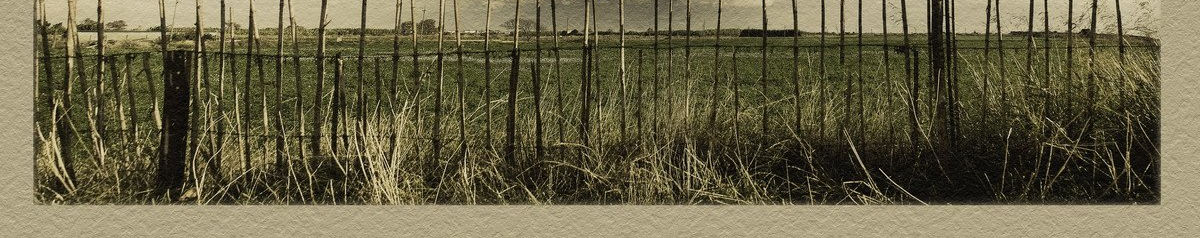 Imagen de portada