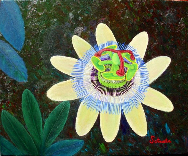 Passiflora óleo sobre lienzo Oil Canvas Floral Painting