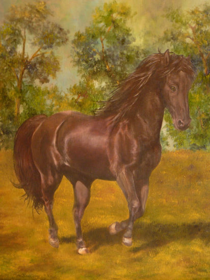 "Hermoso sin vanidad" Oil Canvas Animals