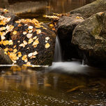 Otoño no es un color thumbnail 2