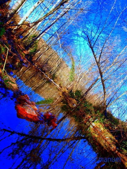 REFLEJOS Nature Color (Digital)