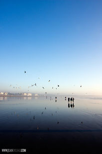 Paseo en el reflejo