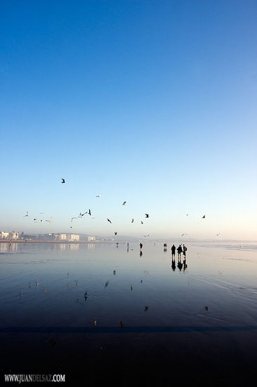 Paseo en el reflejo 