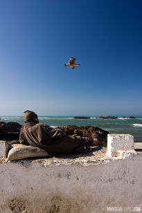 Mirando al mar