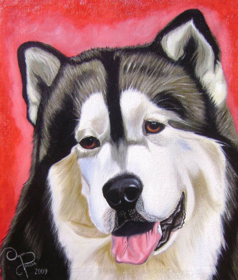 LOBO DE NIEVE Oil Canvas Animals