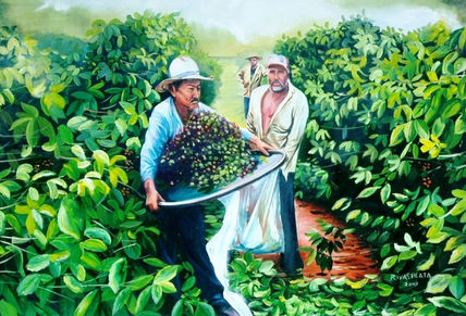 A dança do Café