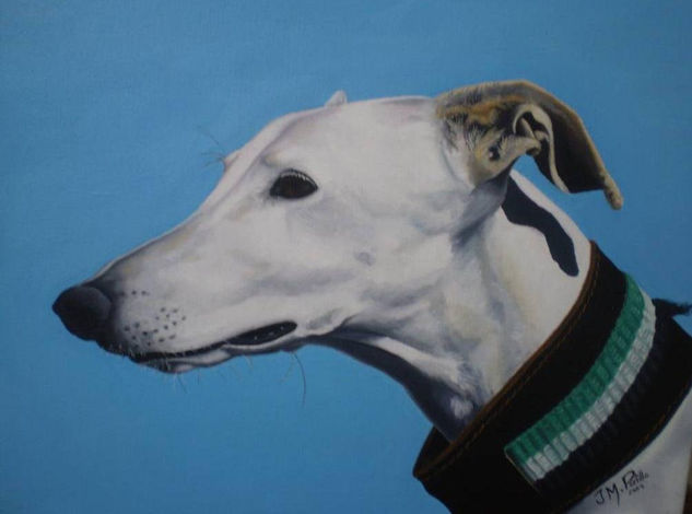 Cabeza de galgo. Oil Canvas Animals