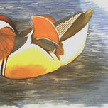 Animales thumbnail 2