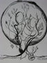 Arbol de la vida 2