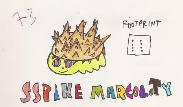 sspike marcoloty 