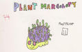 plant marcoloty