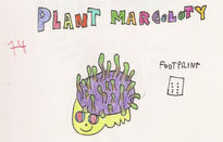 Plant marcoloty