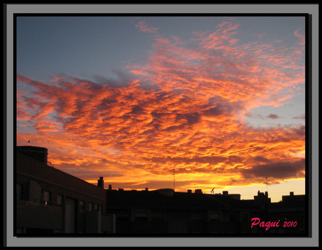 Desde mi ventana 1 Nature Color (Digital)