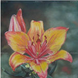 FLORES thumbnail 2