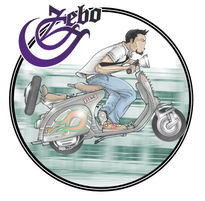 Vespa zebo