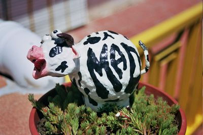 Vaca loca Decoration Various