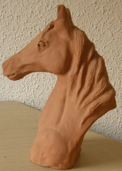 caballo 