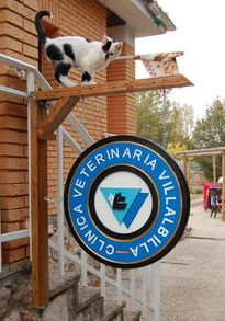 Cartel Veterinaria