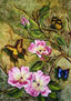 Rosas y Espinas