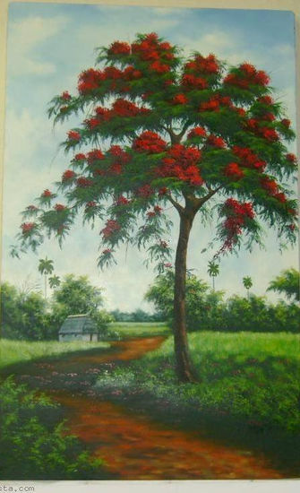 El Framboyan Oil Canvas Landscaping